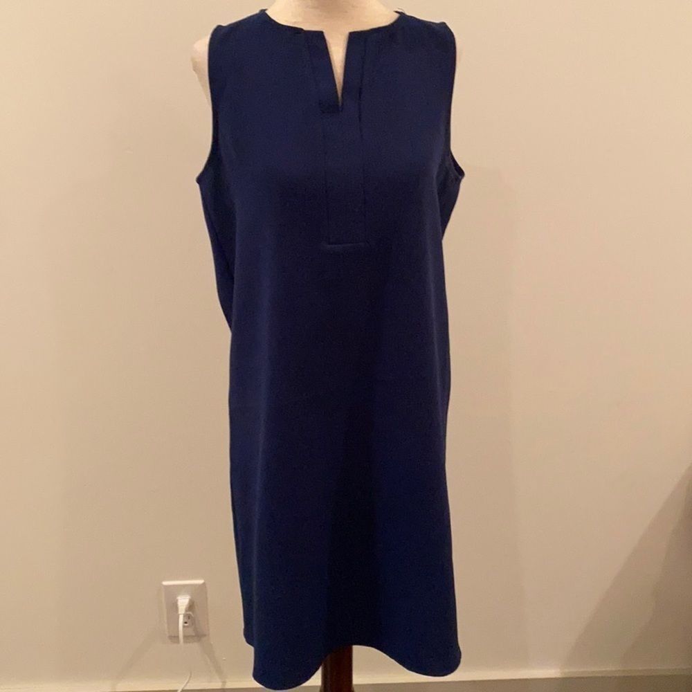 Everly shift dress